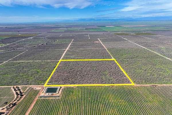 40 Acres of Land for Sale in Madera, California