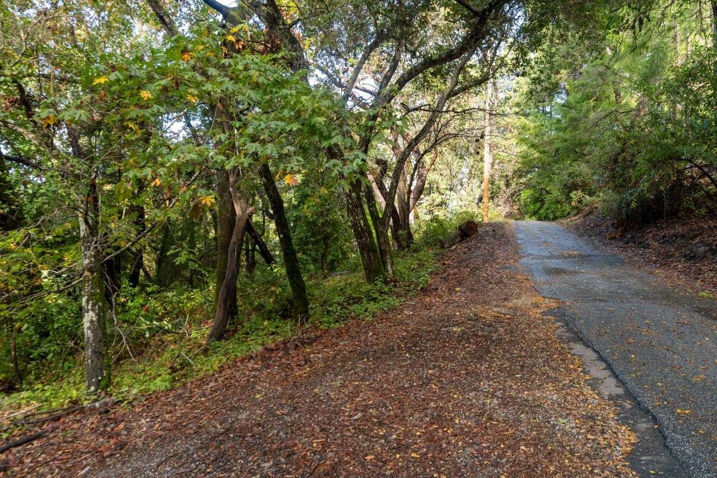 0.11 Acres of Residential Land for Sale in Felton, California