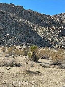 5 Acres of Residential Land for Sale in Twentynine Palms, California