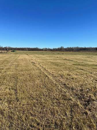 5 Acres of Residential Land for Sale in Pine River, Minnesota