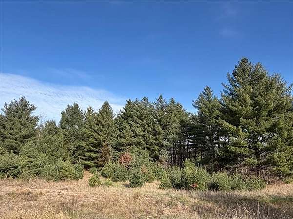 2.59 Acres of Residential Land for Sale in Orrock Township, Minnesota