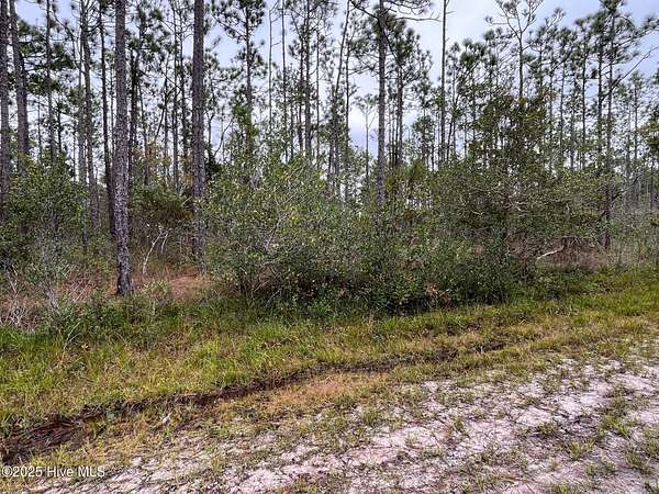 0.24 Acres of Residential Land for Sale in Southport, North Carolina