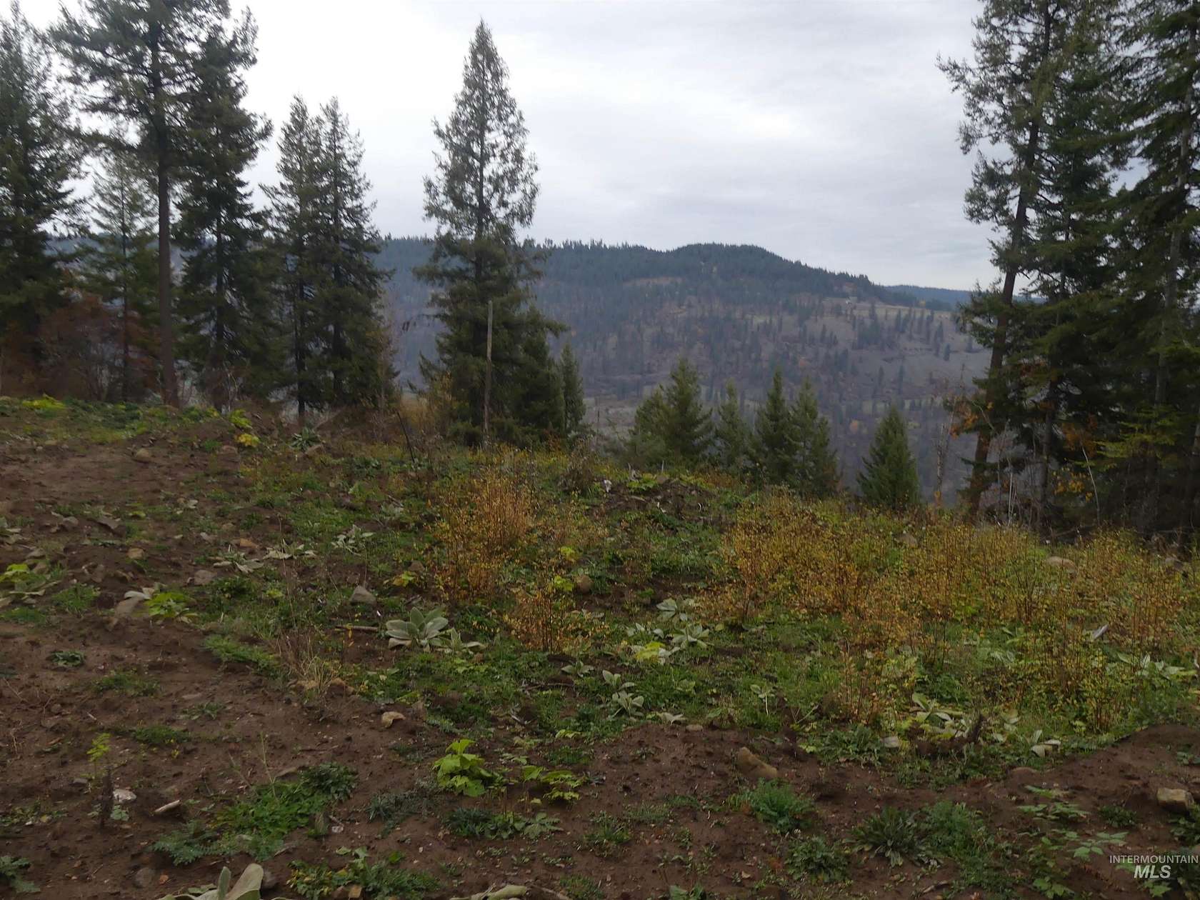 24.7 Acres of Land for Sale in Orofino, Idaho