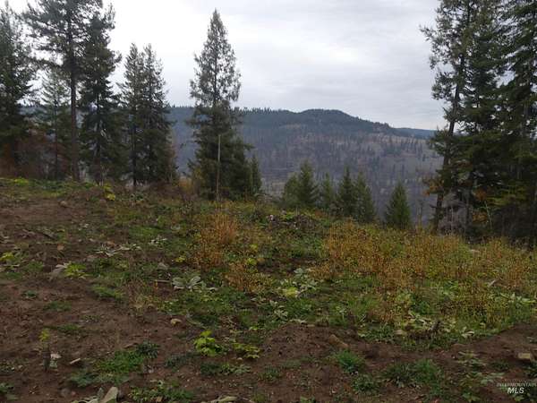 24.7 Acres of Land for Sale in Orofino, Idaho