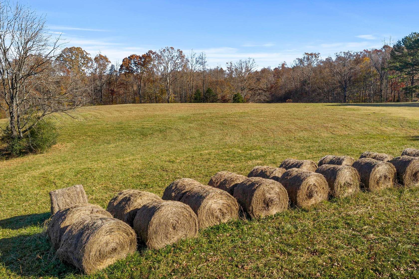 11.5 Acres of Land for Sale in Centerville, Tennessee