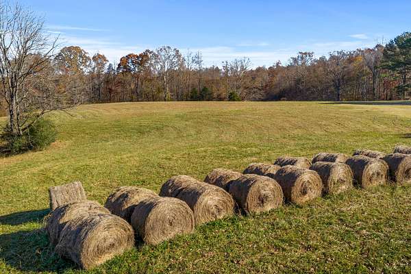 11.5 Acres of Land for Sale in Centerville, Tennessee
