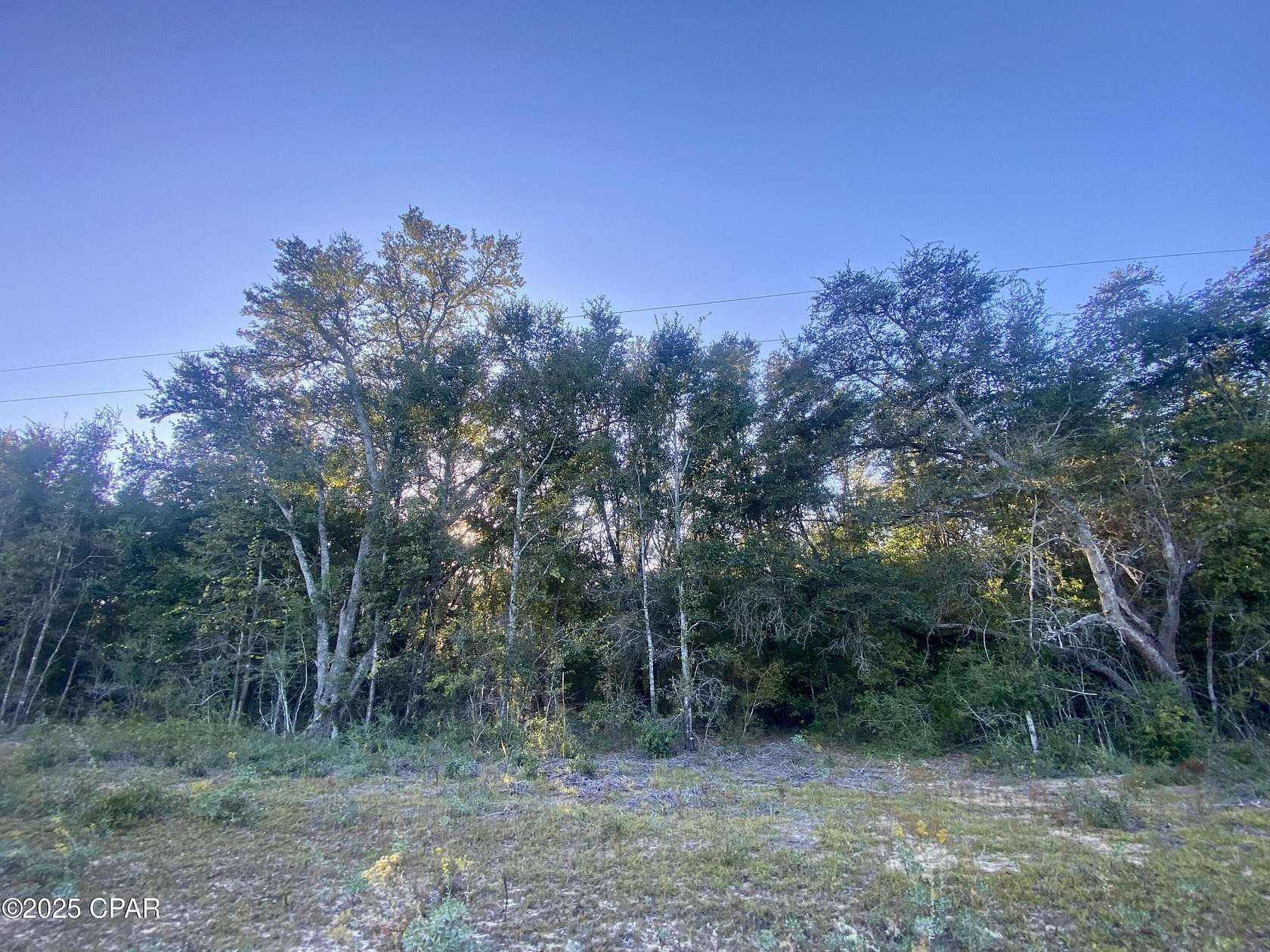 1.13 Acres of Residential Land for Sale in Alford, Florida