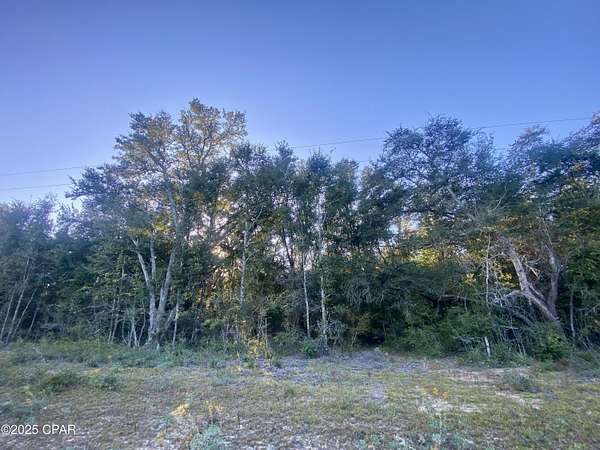 1.13 Acres of Residential Land for Sale in Alford, Florida