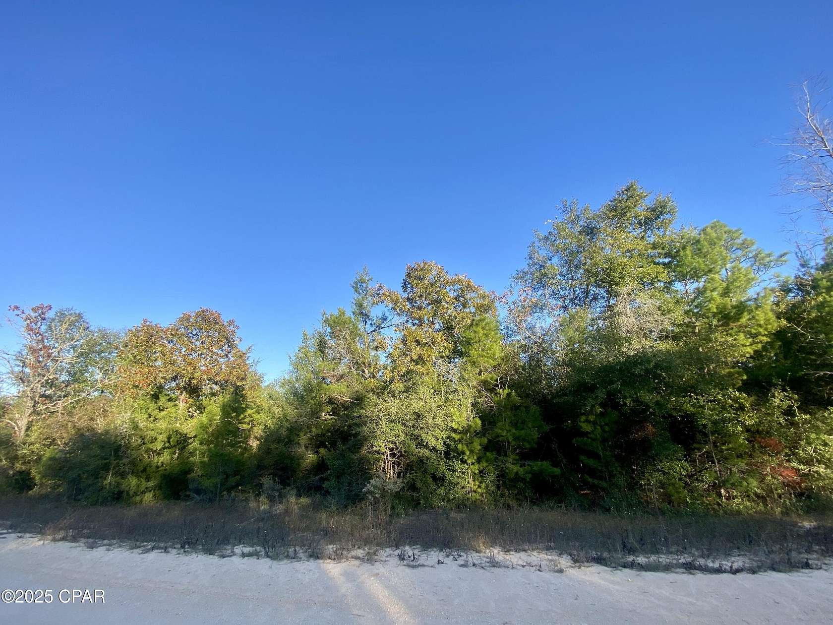 1.1 Acres of Residential Land for Sale in Alford, Florida