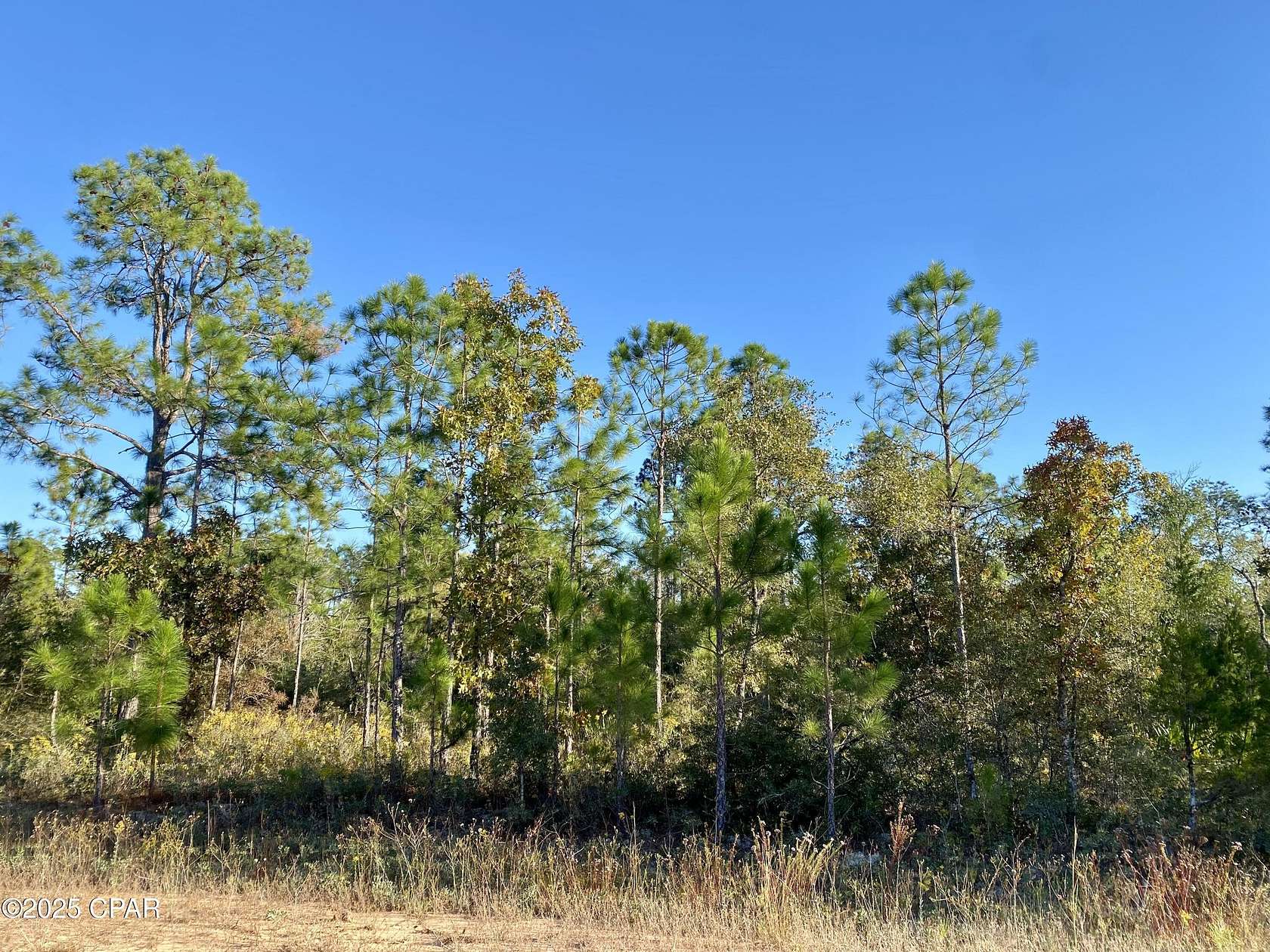 1.25 Acres of Residential Land for Sale in Alford, Florida