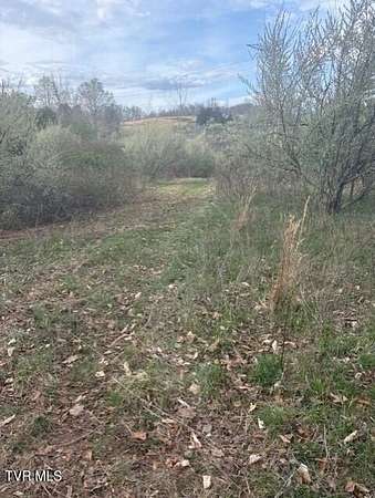 46 Acres of Agricultural Land for Sale in Jonesville, Virginia