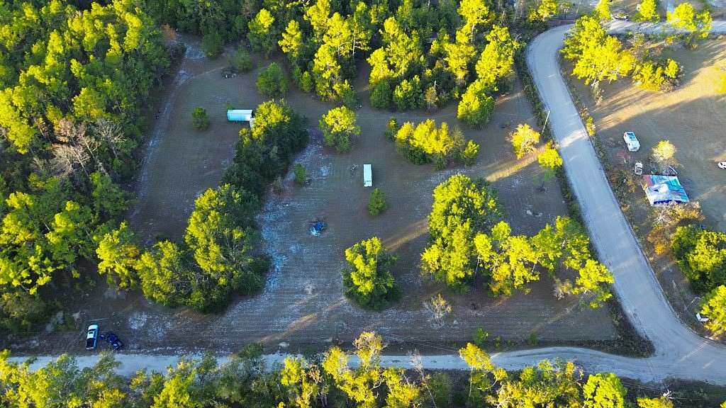 77.4 Acres of Recreational Land for Sale in Lake Park, Georgia