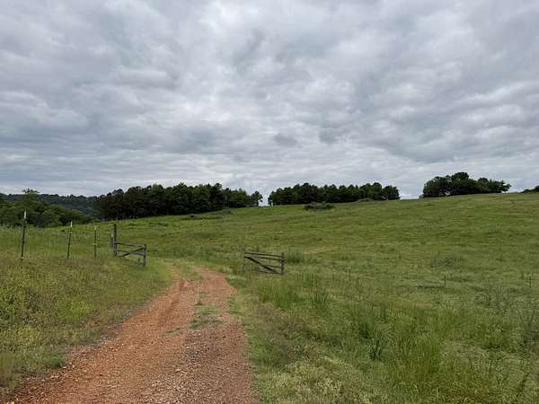 59 Acres of Recreational Land & Farm for Sale in Attalla, Alabama