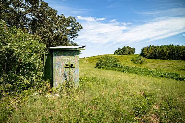55.6 Acres of Land for Sale in Attalla, Alabama