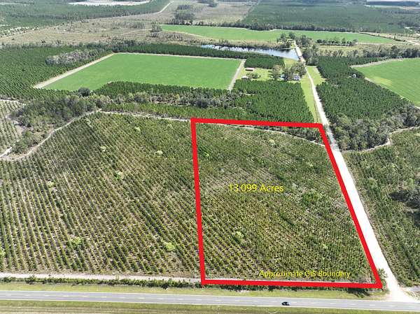 13.1 Acres of Recreational Land for Sale in Waycross, Georgia