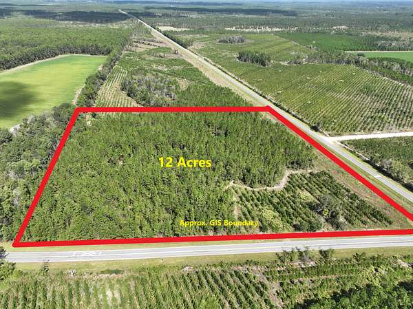 12 Acres of Recreational Land for Sale in Waycross, Georgia