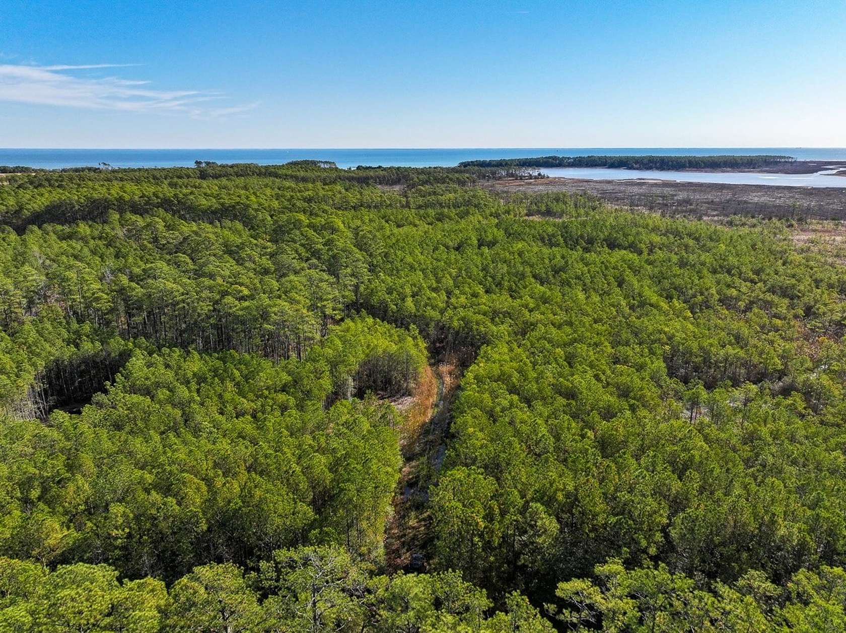 248 Acres of Recreational Land for Sale in Diggs, Virginia