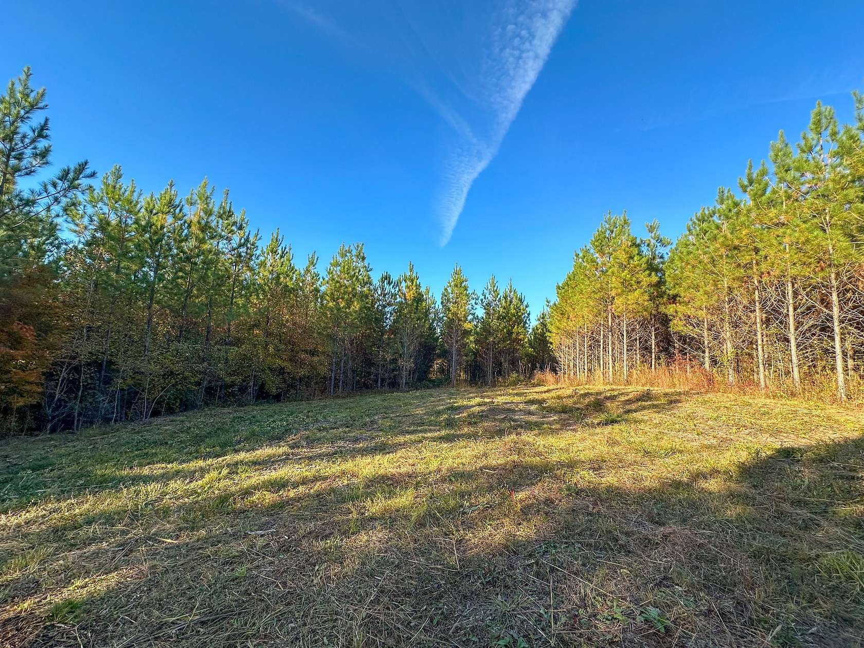 50 Acres of Recreational Land for Sale in Waverly Hall, Georgia