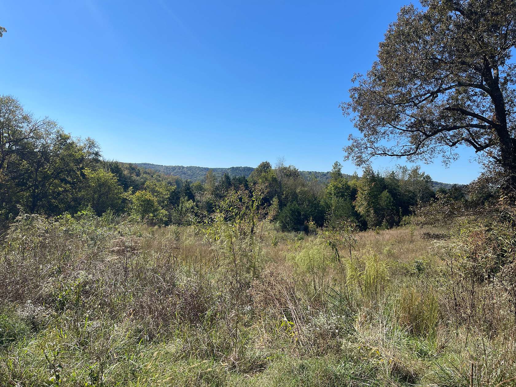 10 Acres of Land for Sale in Clifton, Tennessee