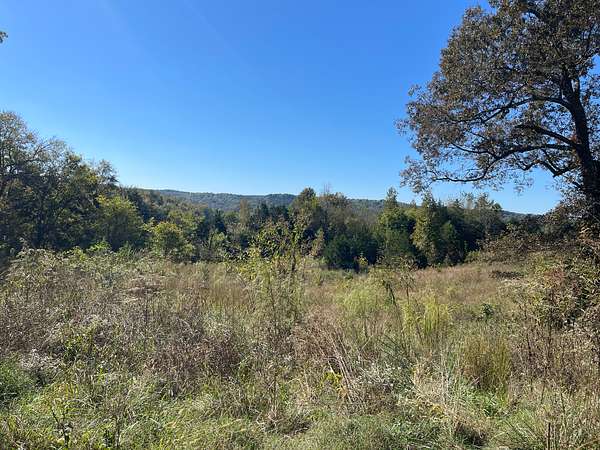 10 Acres of Land for Sale in Clifton, Tennessee