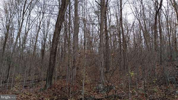 38.8 Acres of Recreational Land for Sale in Capon Bridge, West Virginia