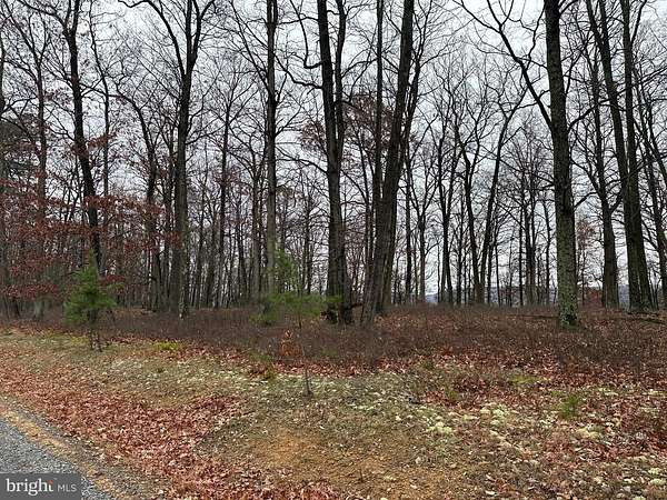 20 Acres of Recreational Land & Farm for Sale in Romney, West Virginia