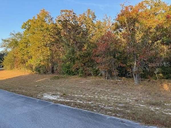 0.25 Acres of Residential Land for Sale in Ocala, Florida