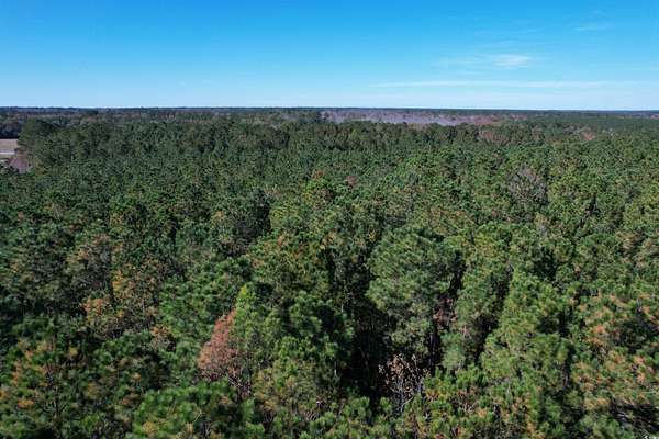 7.9 Acres of Commercial Land for Sale in Andrews, South Carolina