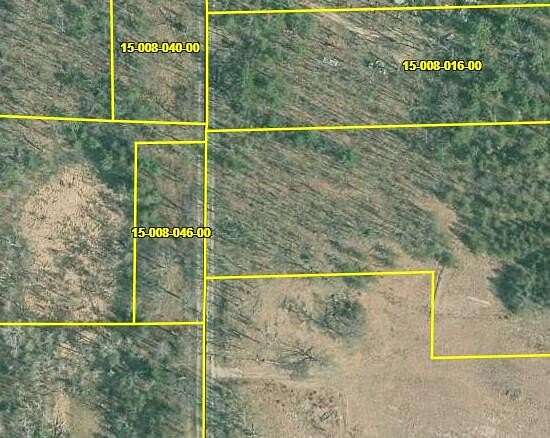 0.69 Acres of Land for Sale in Idlewild, Michigan