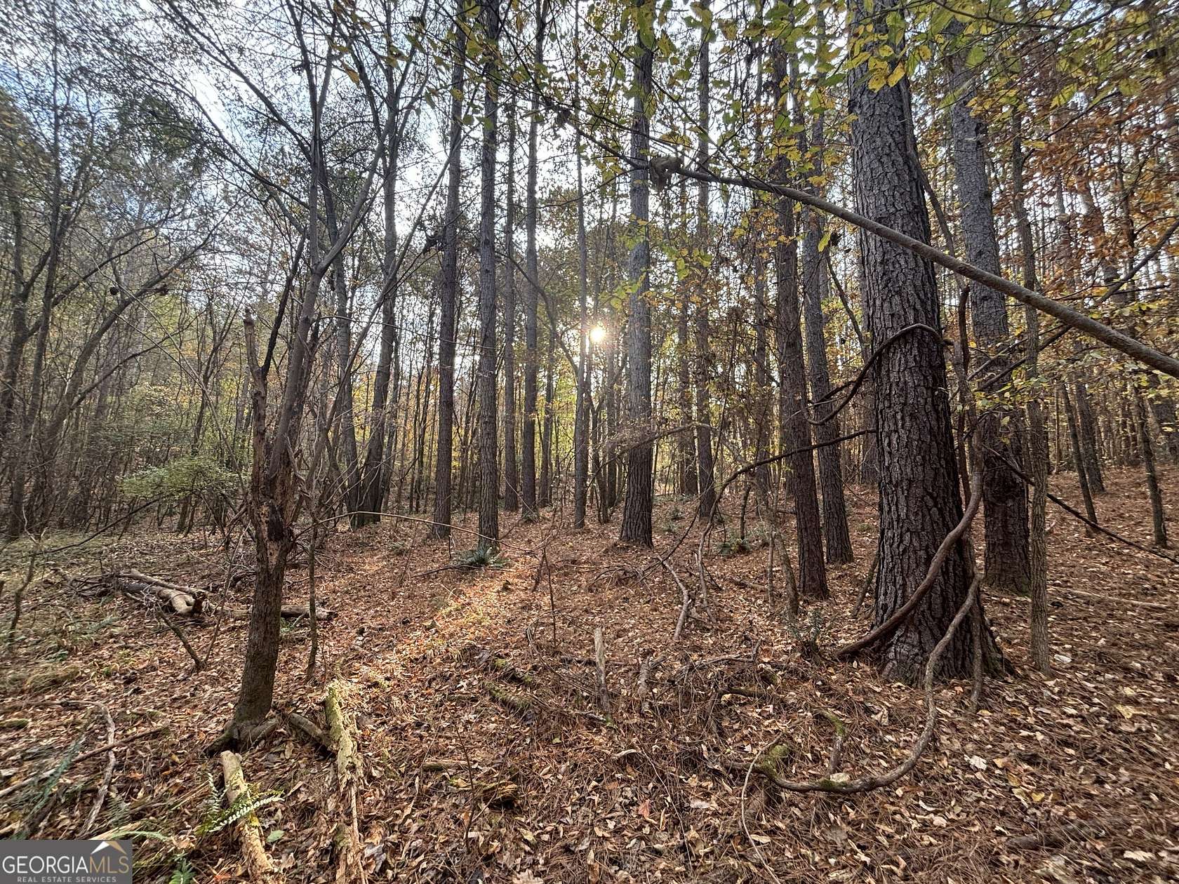 13 Acres of Land for Sale in Buckhead, Georgia