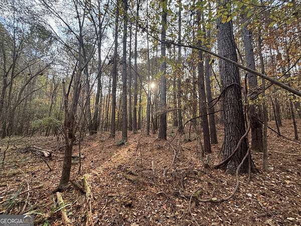 13 Acres of Land for Sale in Buckhead, Georgia