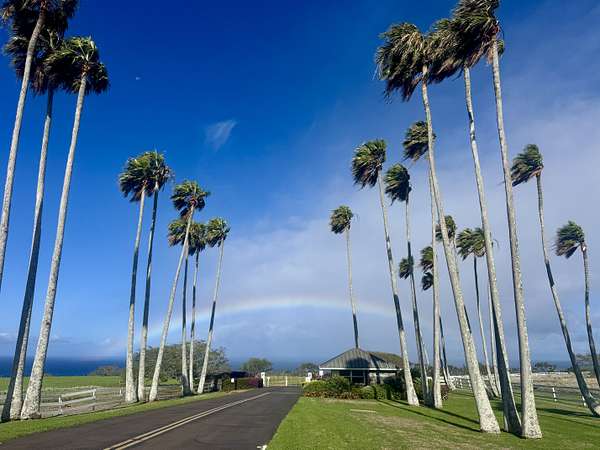 10 Acres of Land for Sale in Hawi, Hawaii