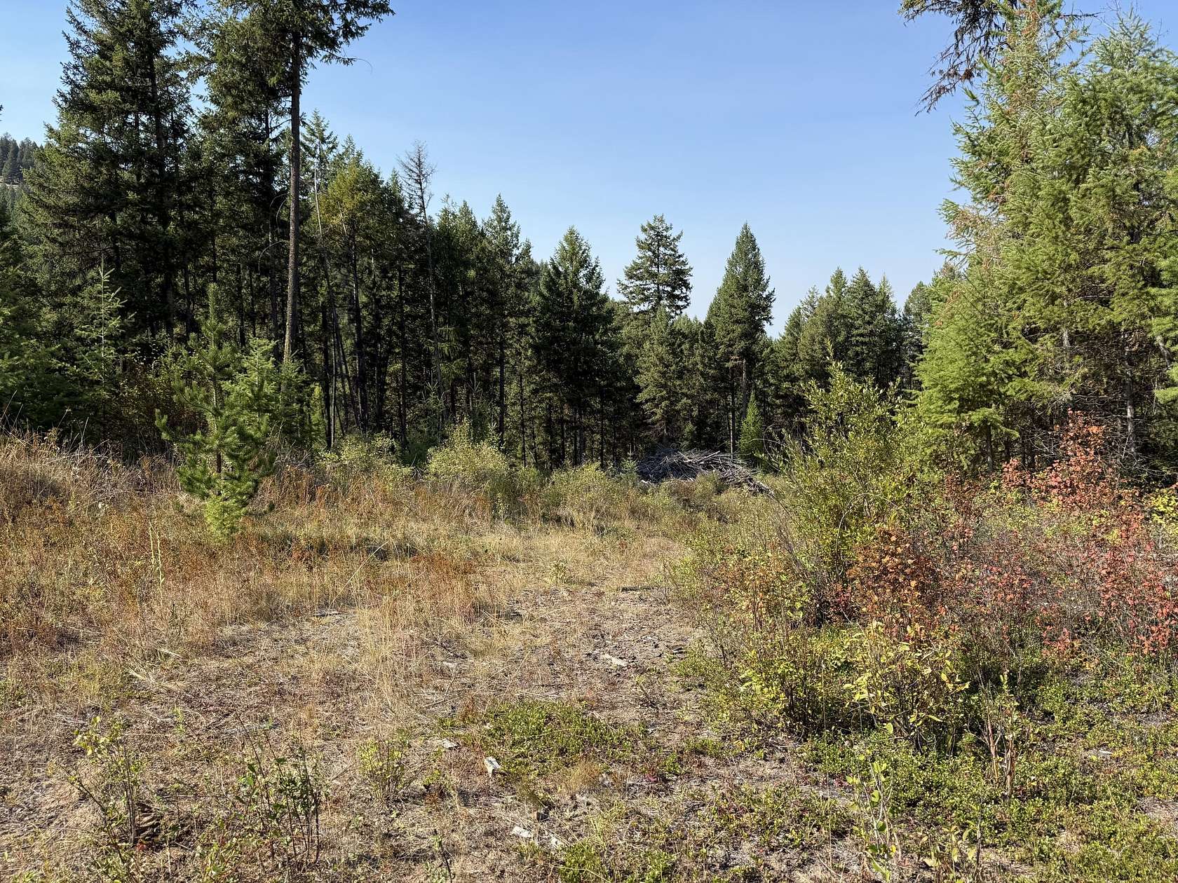 31.6 Acres of Recreational Land for Sale in Malo, Washington