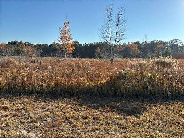 0.38 Acres of Residential Land for Sale in Ocala, Florida