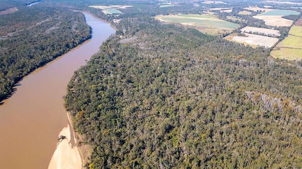 118 Acres of Recreational Land for Sale in Uvalda, Georgia