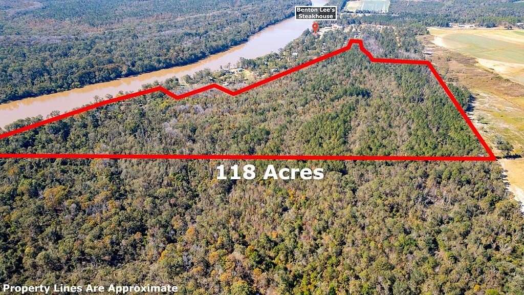 118 Acres of Recreational Land for Sale in Uvalda, Georgia