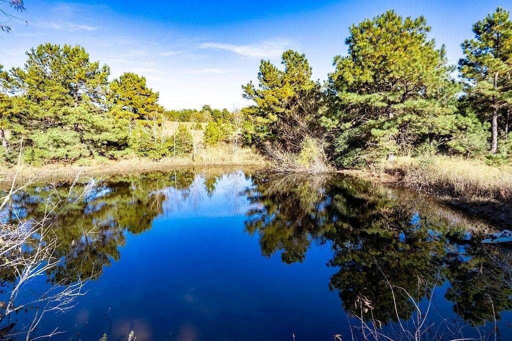 20 Acres of Land for Sale in Palestine, Texas