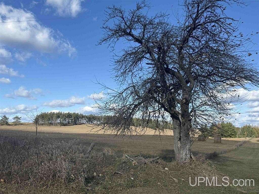 17.6 Acres of Land for Sale in Carney, Michigan