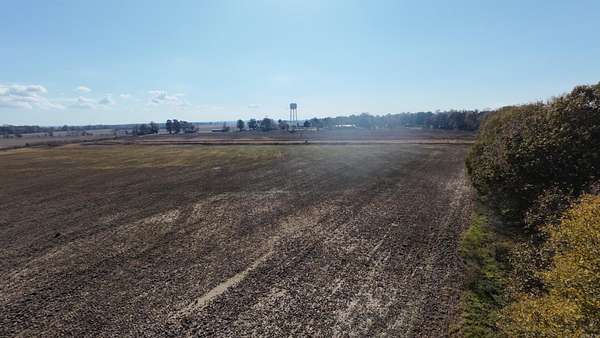 44.9 Acres of Land for Sale in Knobel, Arkansas