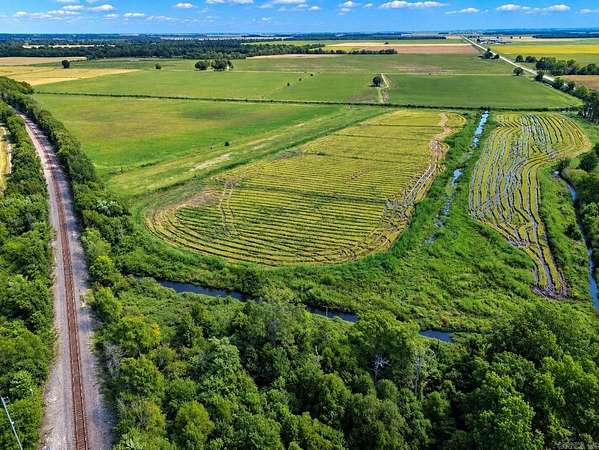 44.9 Acres of Land for Sale in Knobel, Arkansas