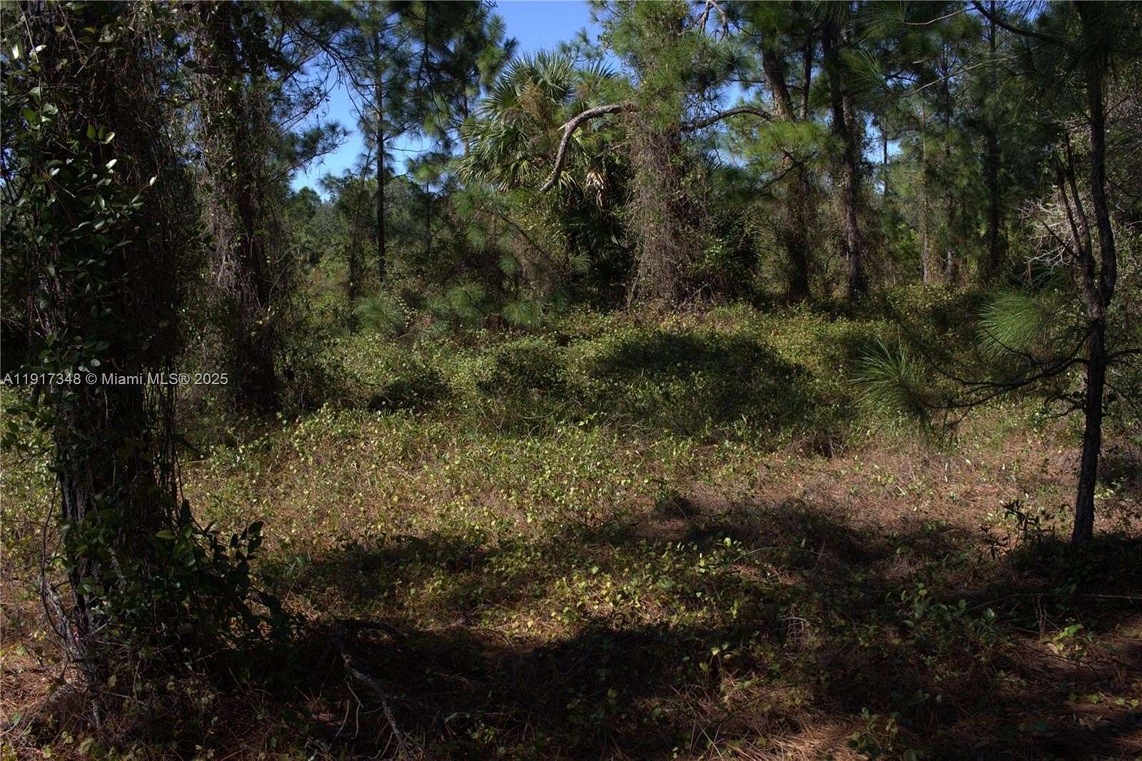 0.5 Acres of Residential Land for Sale in Lehigh Acres, Florida