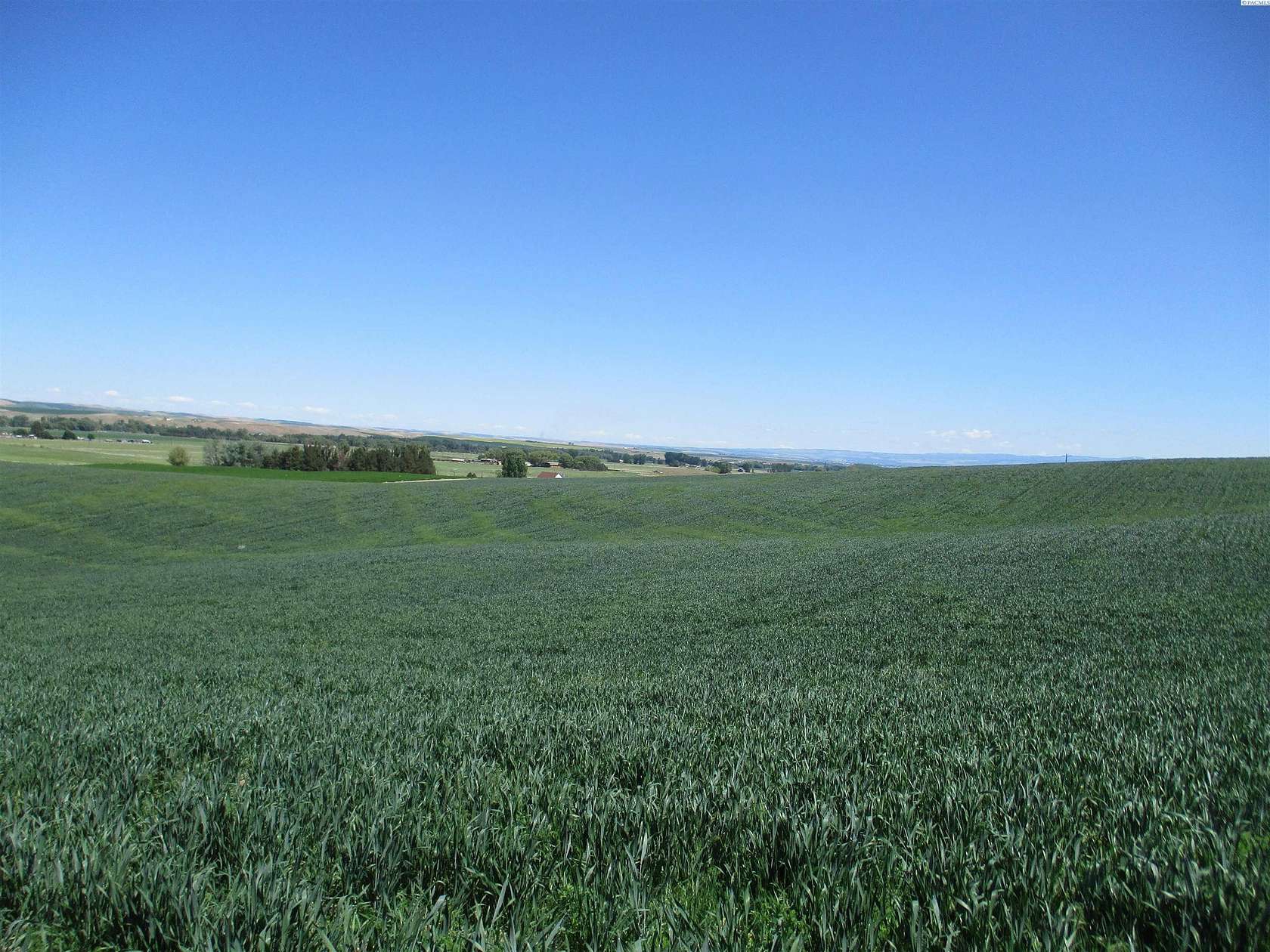 287 Acres of Agricultural Land for Sale in Touchet, Washington