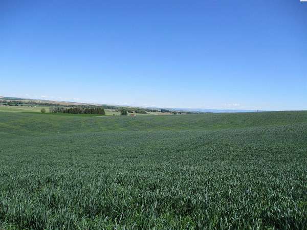 287 Acres of Agricultural Land for Sale in Touchet, Washington