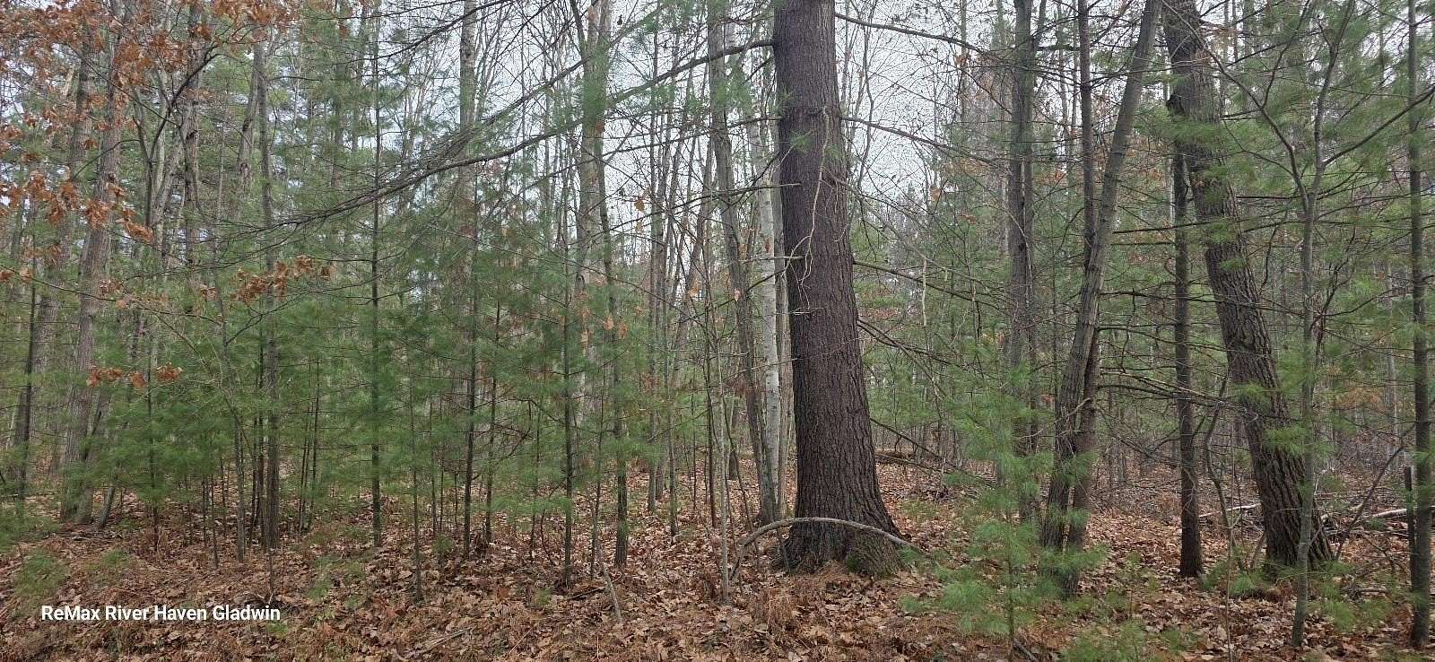 2.17 Acres of Residential Land for Sale in Beaverton, Michigan