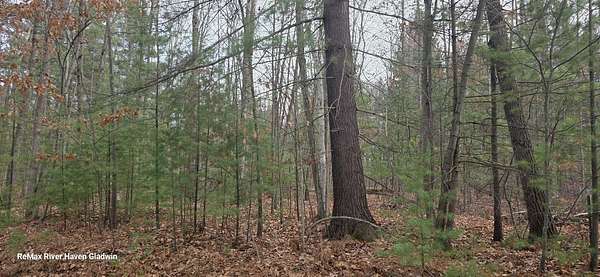 2.17 Acres of Residential Land for Sale in Beaverton, Michigan