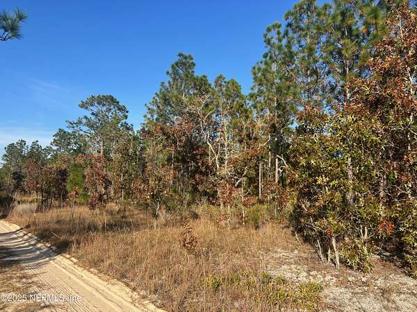 0.2 Acres of Land for Sale in Hawthorne, Florida