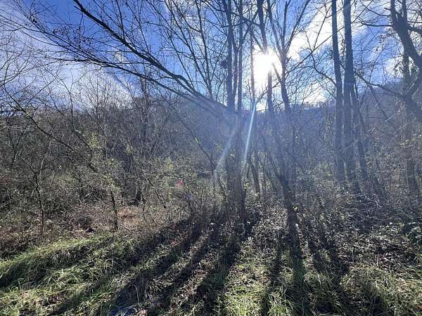 22 Acres of Recreational Land for Sale in Martin, Kentucky