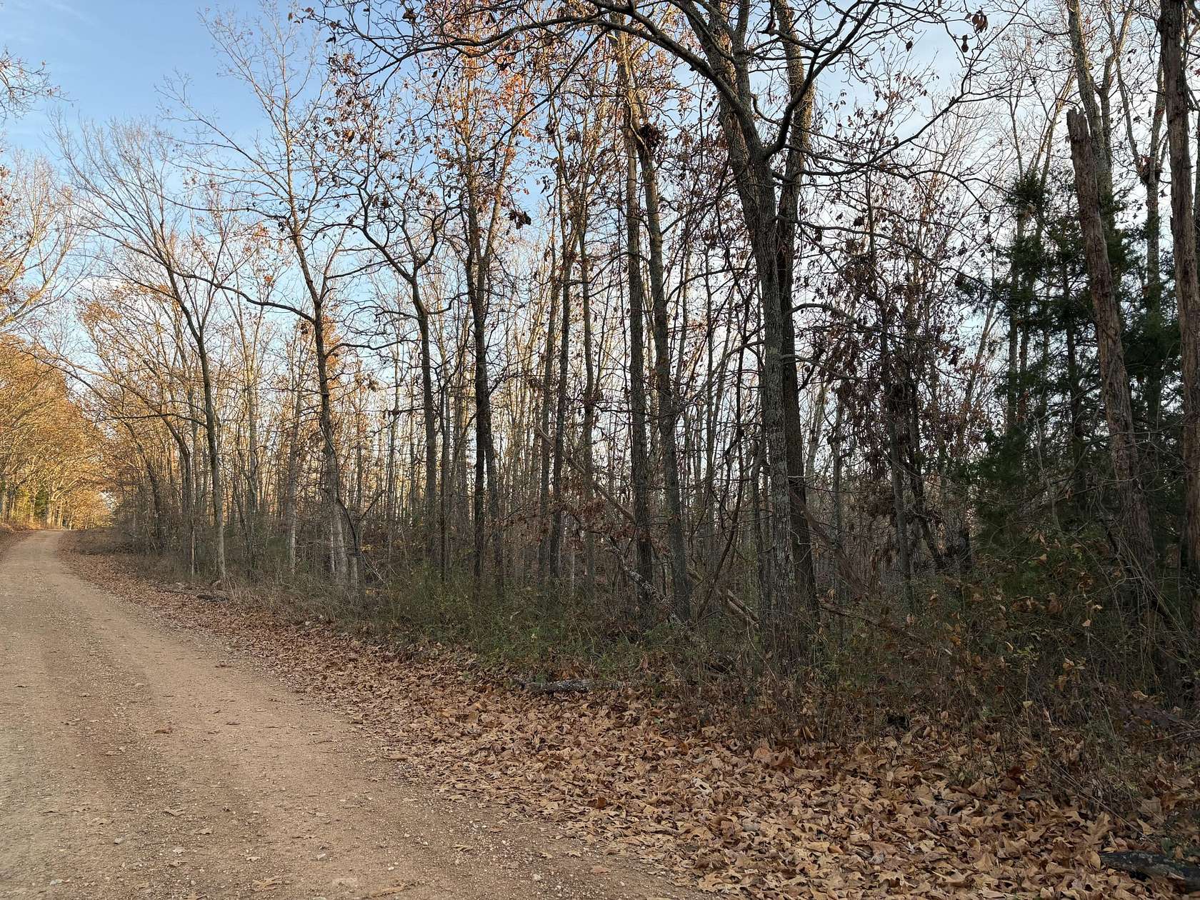 11.2 Acres of Land for Sale in Norwood, Missouri