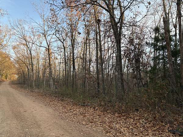 11.2 Acres of Land for Sale in Norwood, Missouri