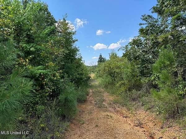 5 Acres of Residential Land for Sale in Brookhaven, Mississippi